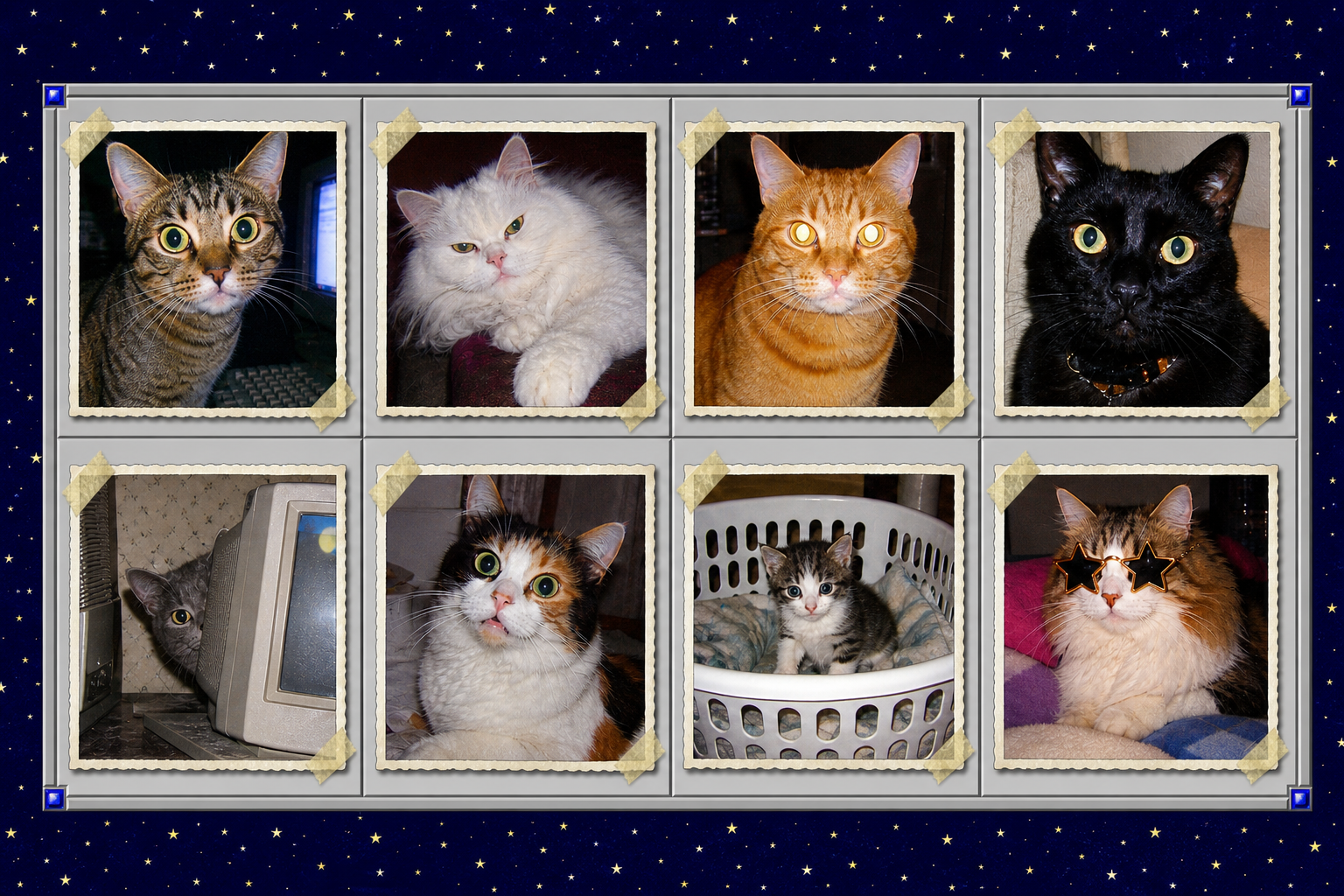 A weird retro collage of three cats